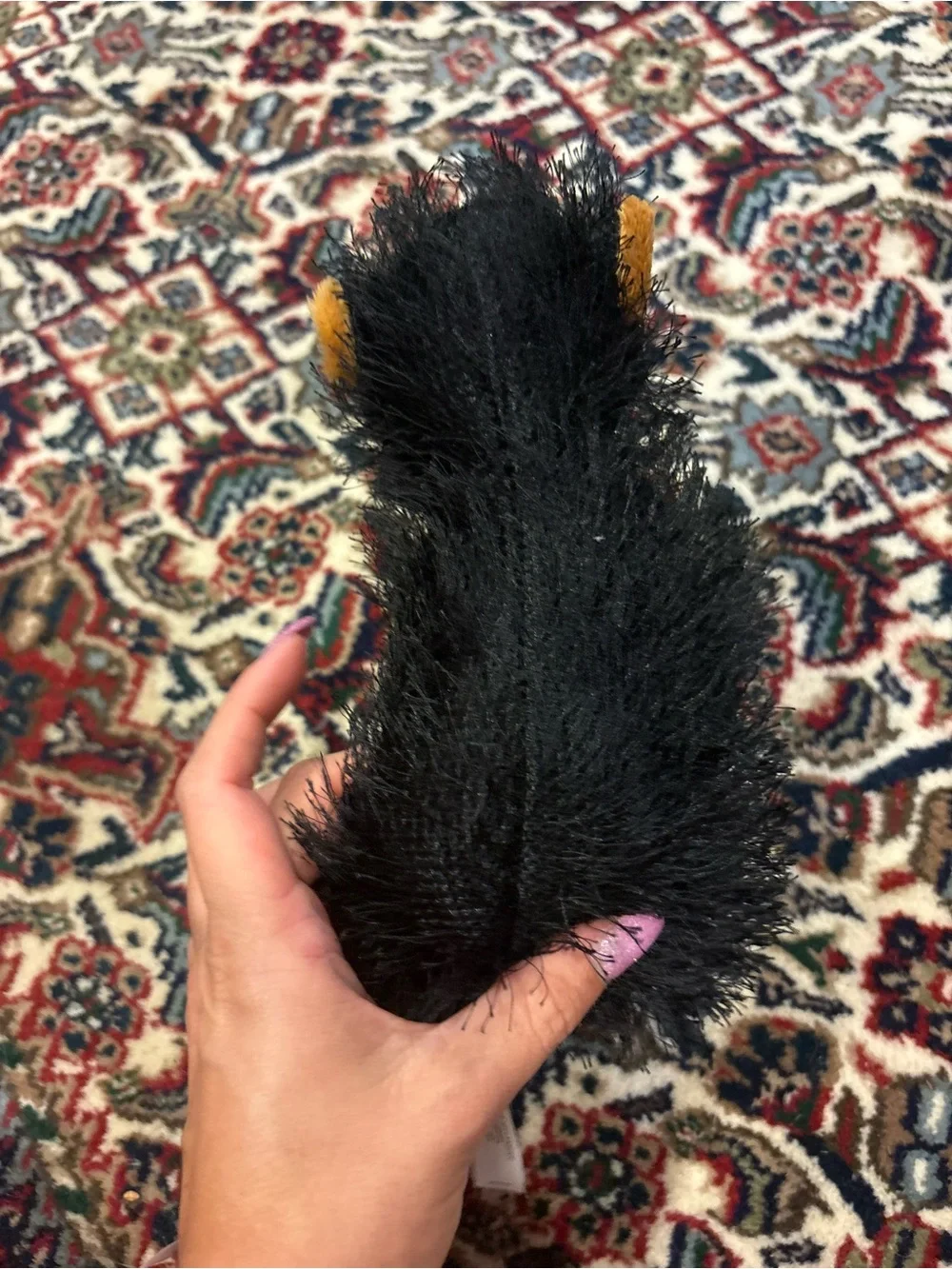 Webkinz Black bear